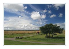 Das Andere Borkum