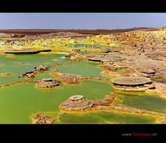 Das andere Grün der Wüste Danakil