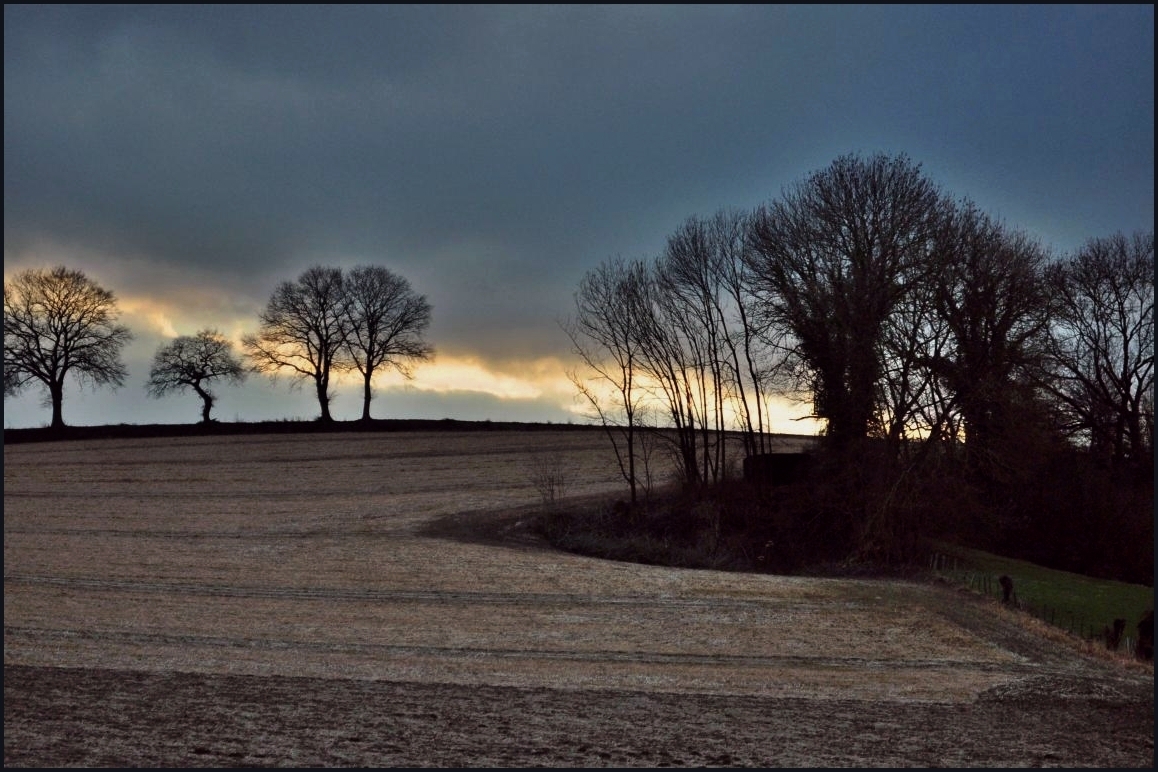 das andere landschaft