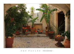 DAS ANDERE MALLORCA -2-