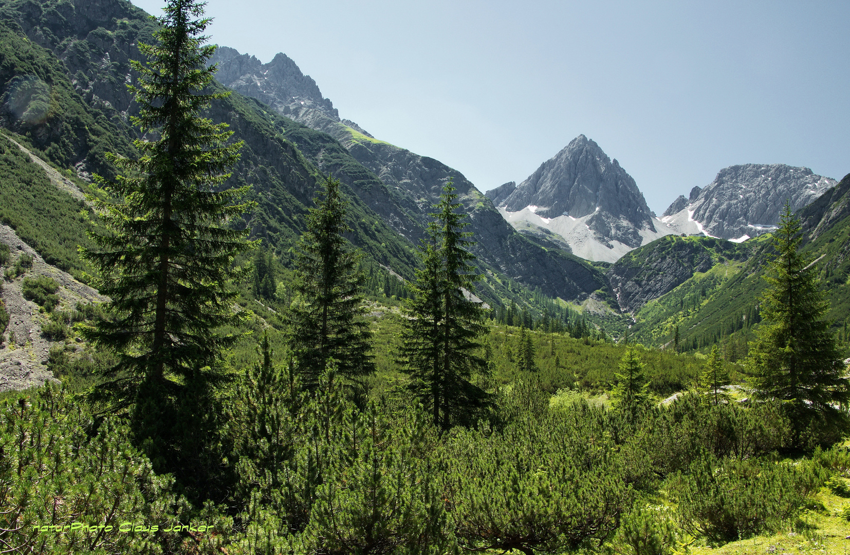 Das Angerletal (Lechtaler Alpen).