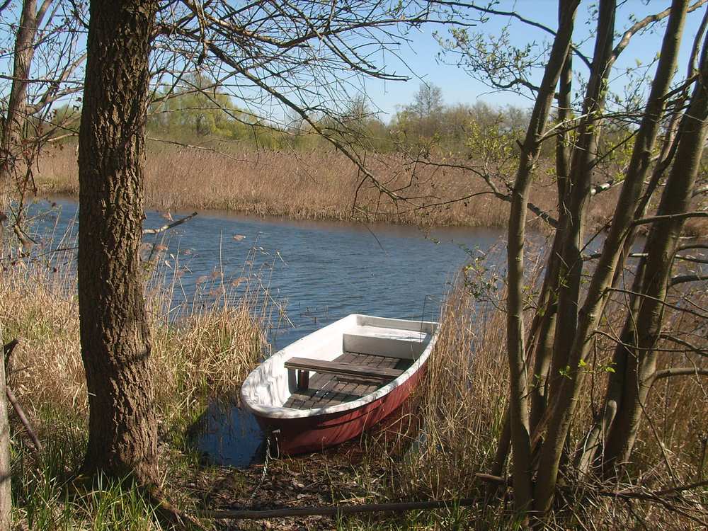 Das Anglerboot an der Wiese