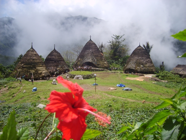 das Anhaus von Wae Rebo Flores Indonesien