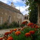 Das Arkadi Kloster auf Kreta