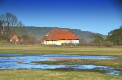 Das Asta Nielsen Haus /Architektur Max Taut-Hiddensee 