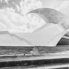 Das Auditorium - Auditorio Adán Martín Menis