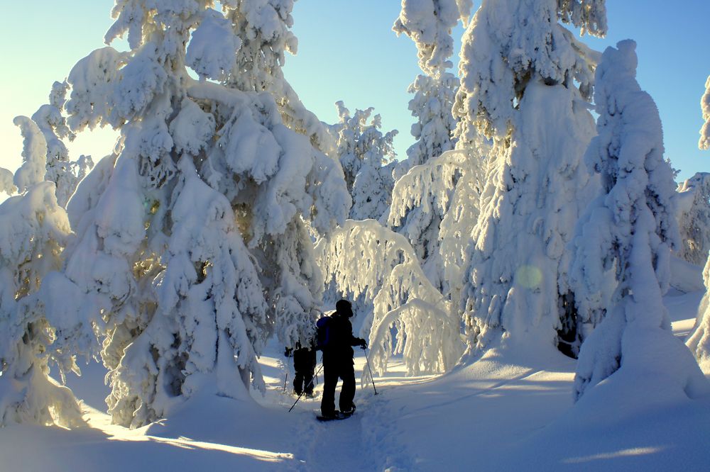 Das Auenland im Winter ;-)