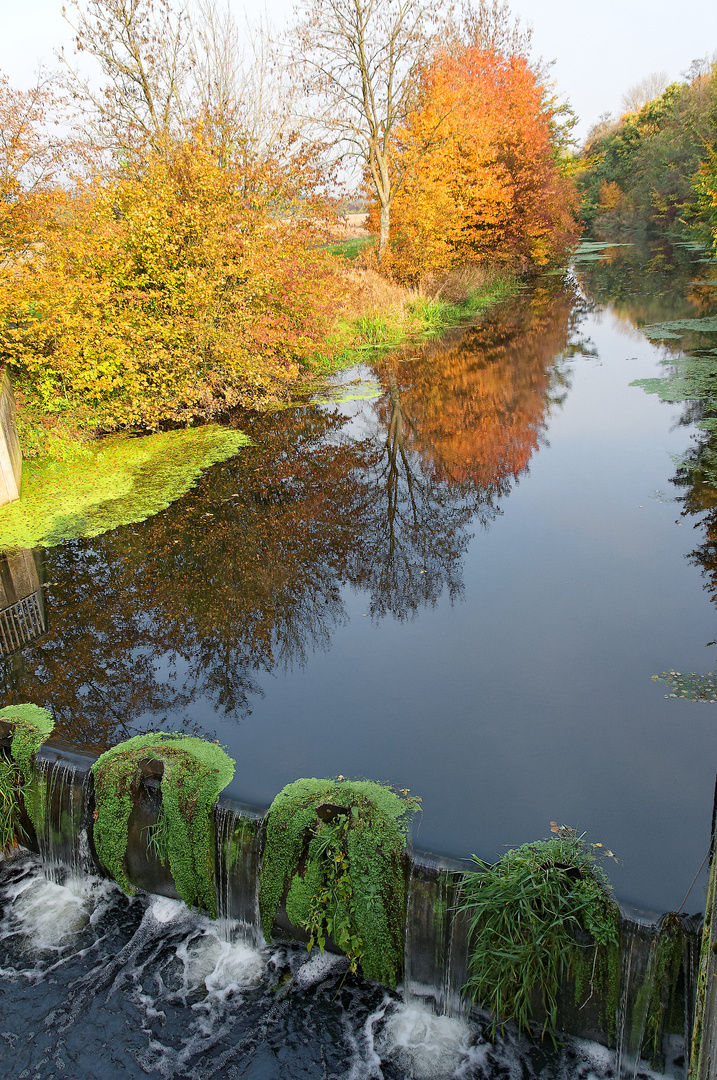 Das Aufbäumen der Farben vor dem Winter