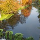 Das Aufbäumen der Farben vor dem Winter