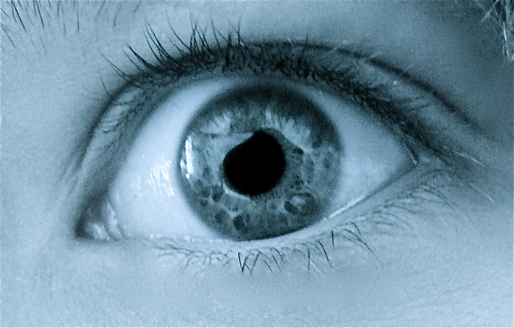 Das Auge