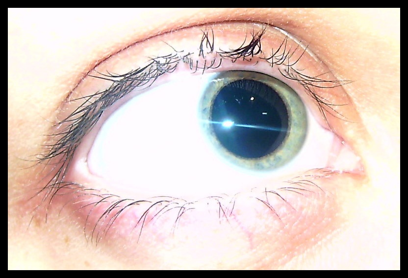 Das Auge