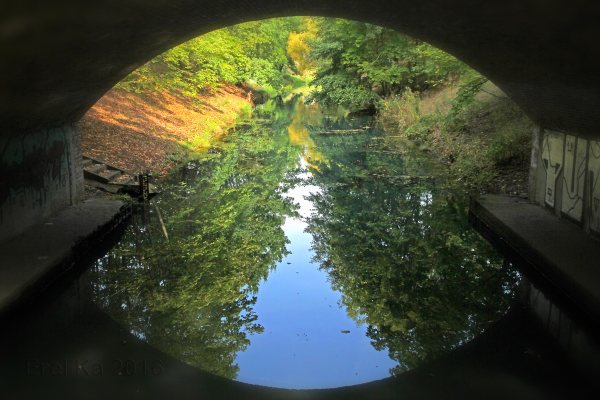 Das Auge der Natur