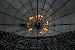 das Auge...
