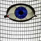 Das Auge Gottes in der ehem. Kirche Heilig Kreuz, Bottrop