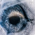 Das Auge im (Baikal-) See