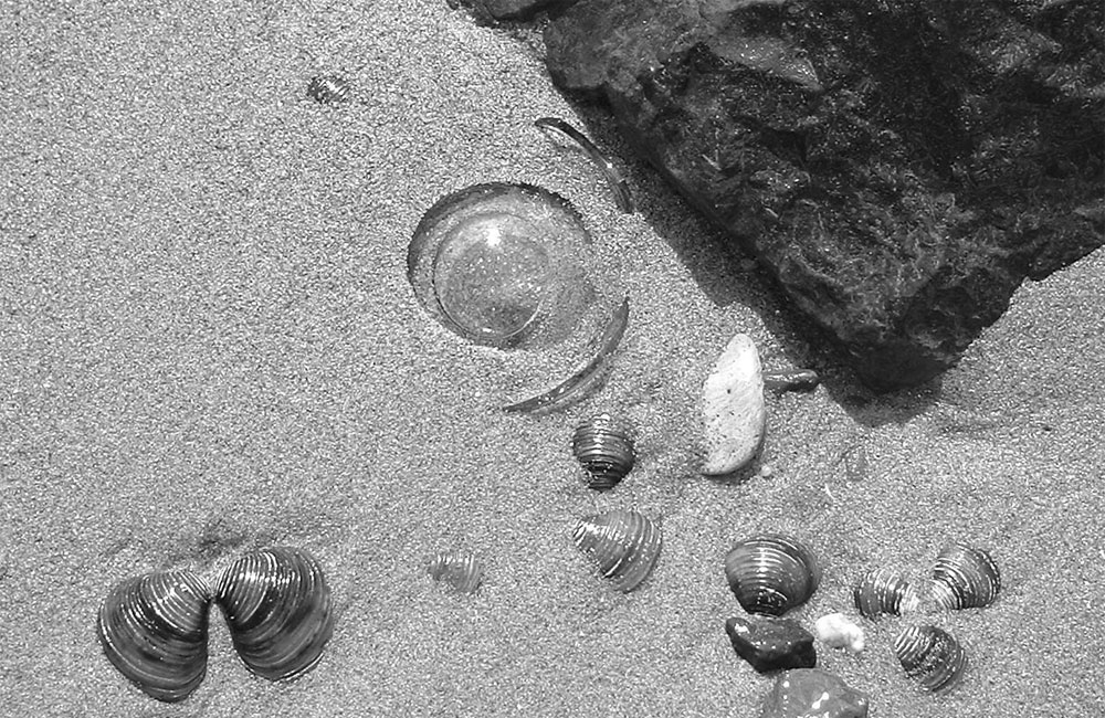 Das Auge im Sand