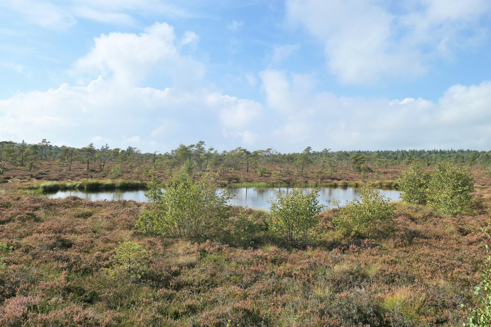 Das Auge im Schwarzen Moor in der Rhön