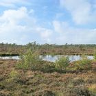 Das Auge im Schwarzen Moor in der Rhön