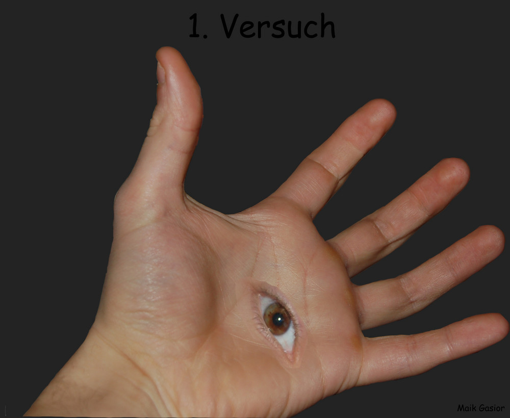 Das Auge in der Hand