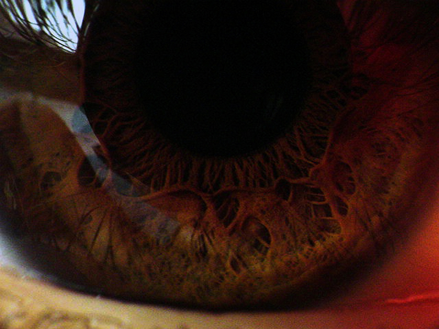 Das Auge [SUPER Makro]
