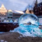 Das Auge von Lüneburg