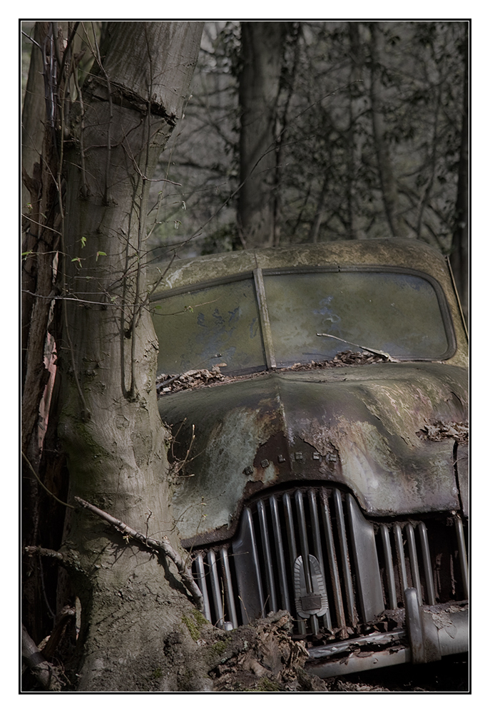 Das Auto im Wald