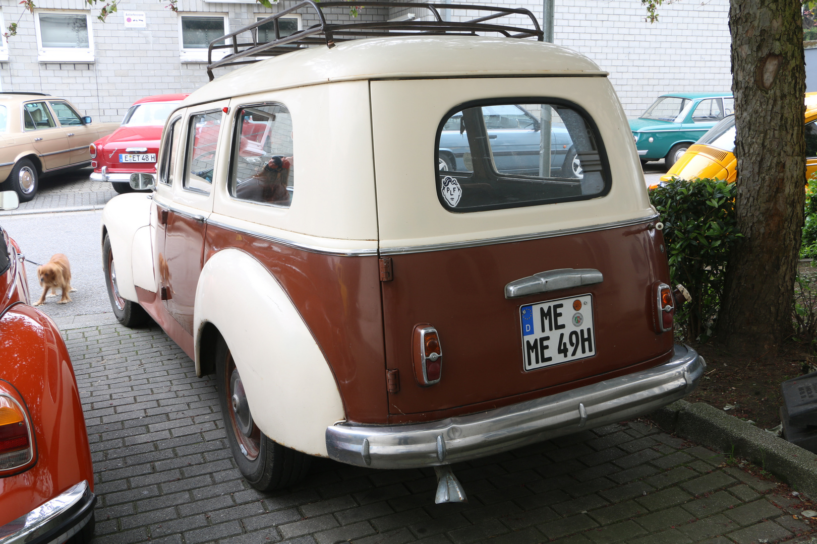 Das Autorätsel - Peugeot 203 Kombi