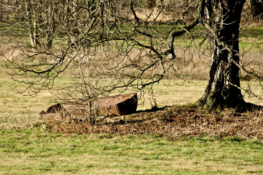 das bad auf der wiese