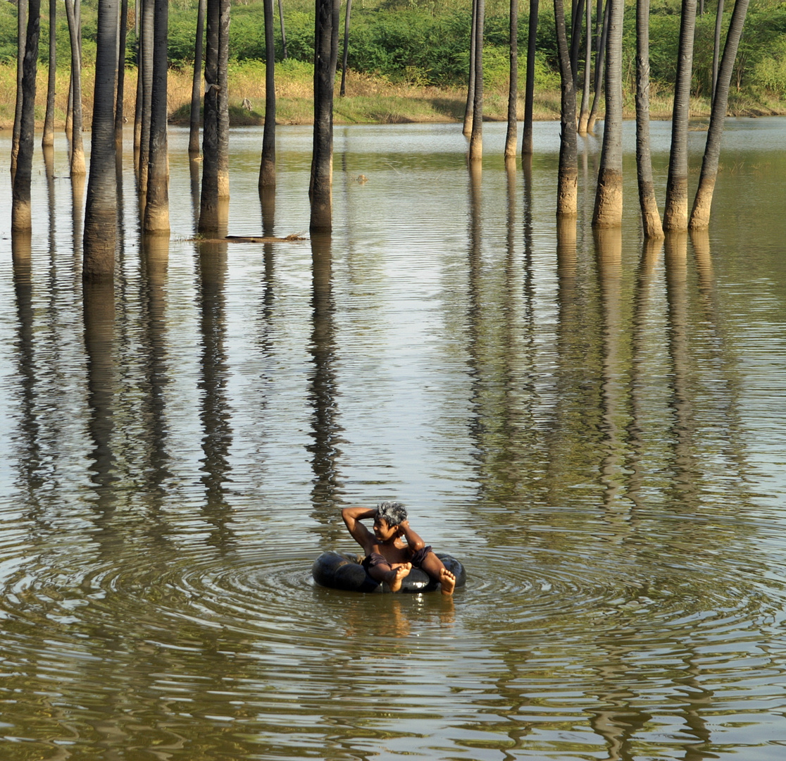 Das Bad im Palmenwald (Burma)