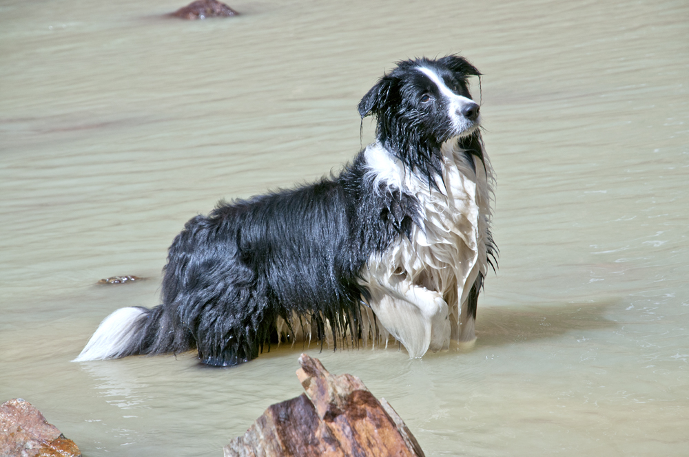 Das Badewasser ist angerichtet