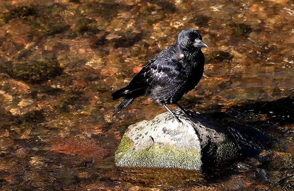 Das Badewasser war schon mal wärmer ...