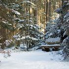 das Bänkle im Schnee