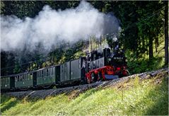 Das Bahnel unterwegs