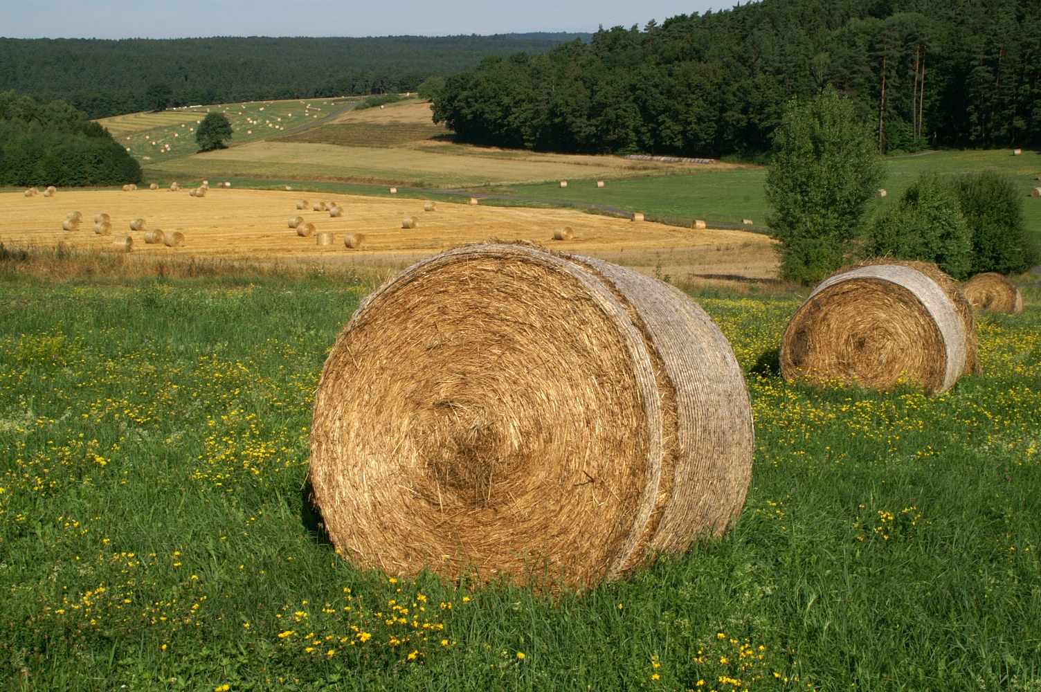 Das Ballental