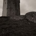 das Ballyportry Castle...II...
