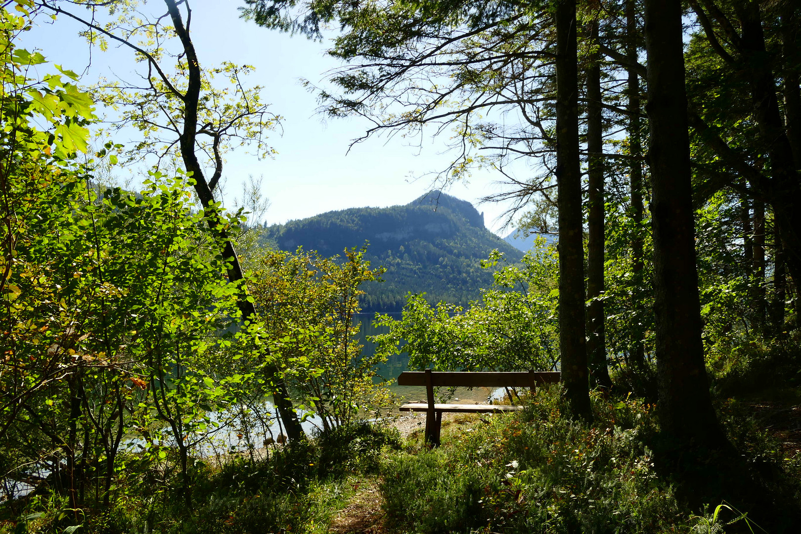 Das Bankerl am See