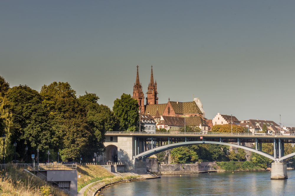 Das Baseler Münster