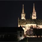 Das Basler Münster