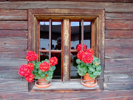 Das Bauernhof-Fenster
