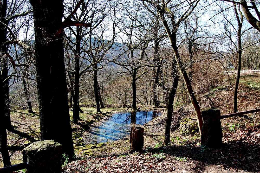 Das Baumgrün lässt noch auf sich warten…