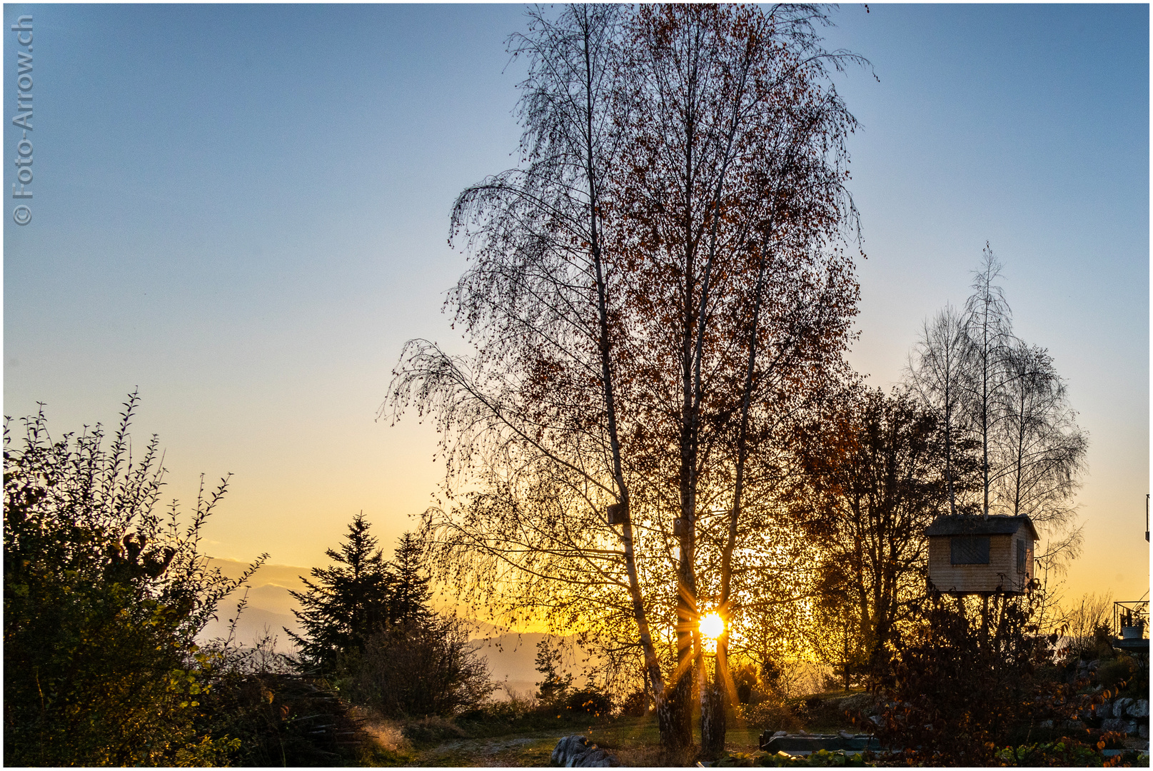 Das Baumhaus in der Abendsonne