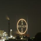 Das Bayer-Kreuz