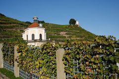 Das Belvedere auf Schloß Wackerbarth- Radebeul