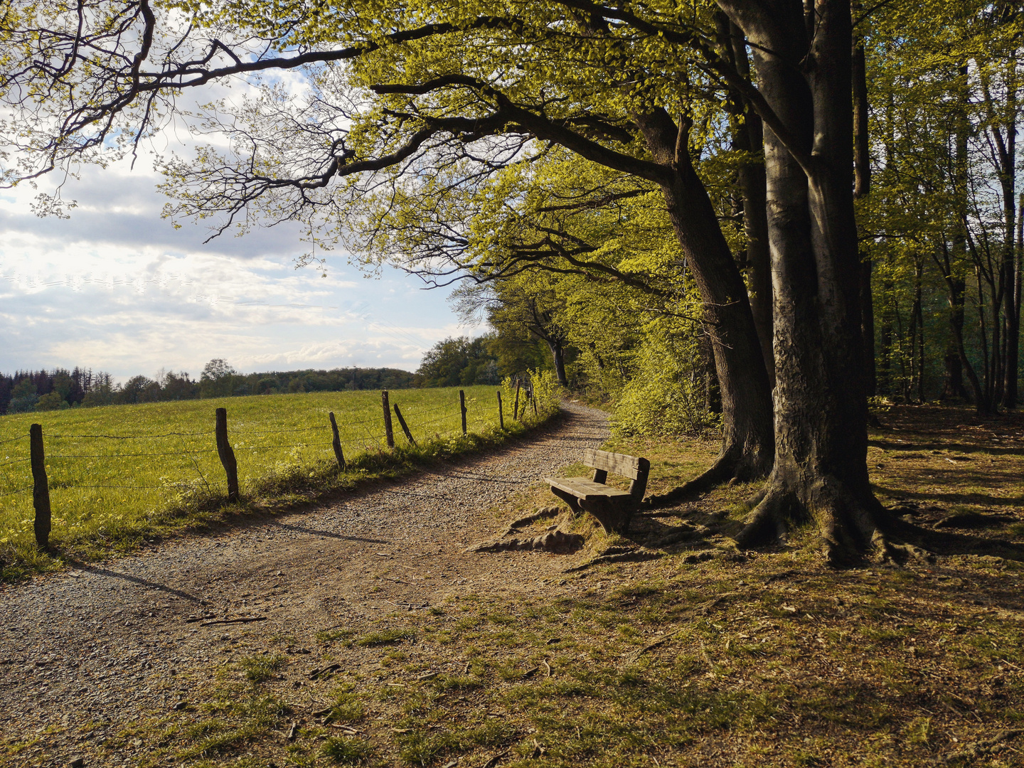 Das Bergische Bank am Weg 