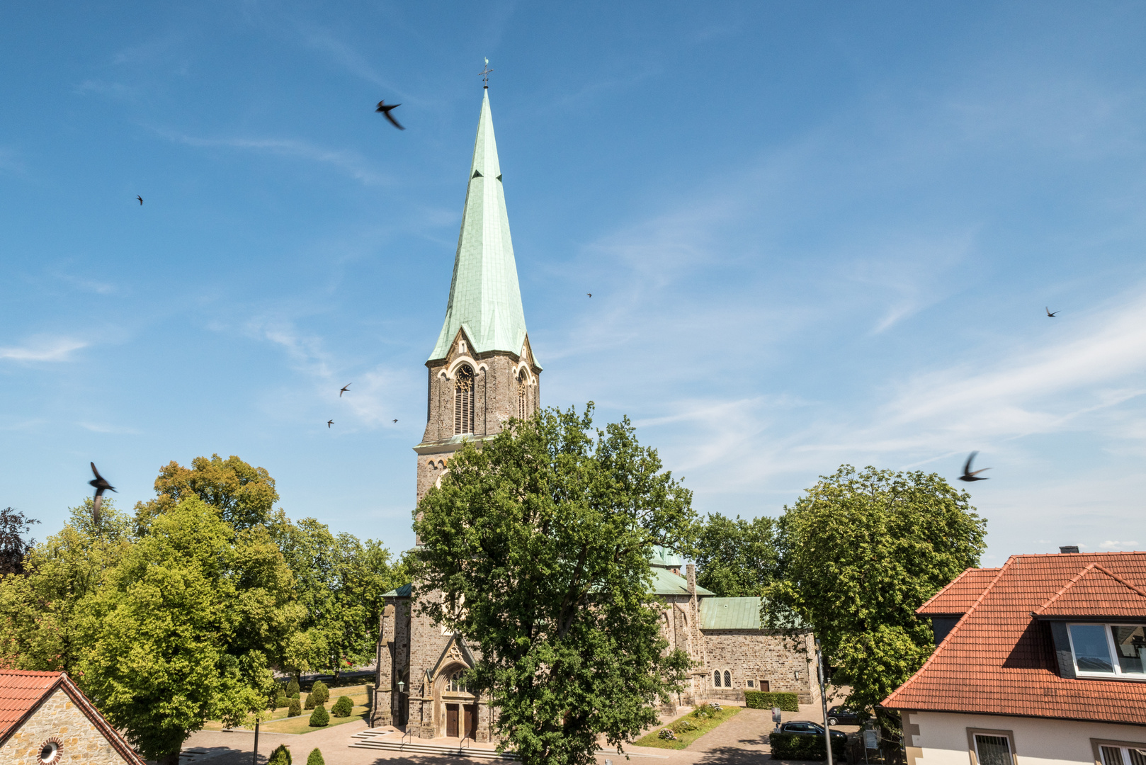 Das Beringen von Mauerseglern #1