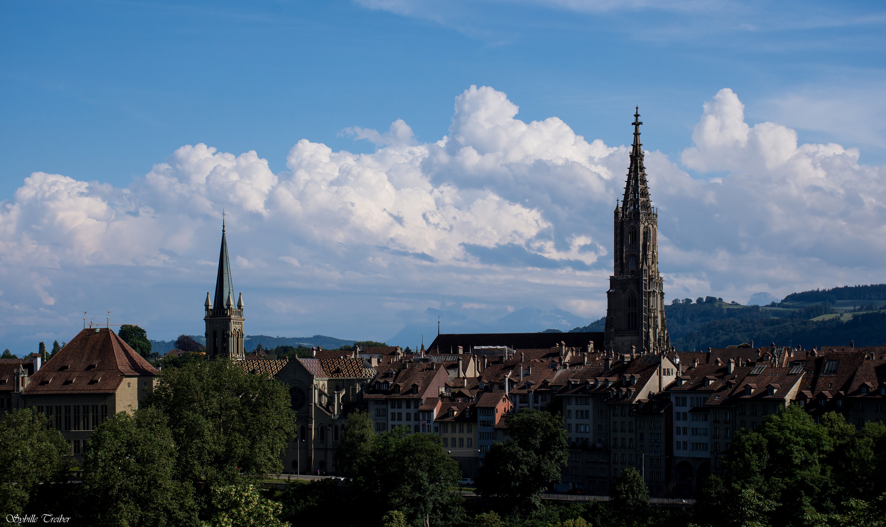 Das Berner Münster