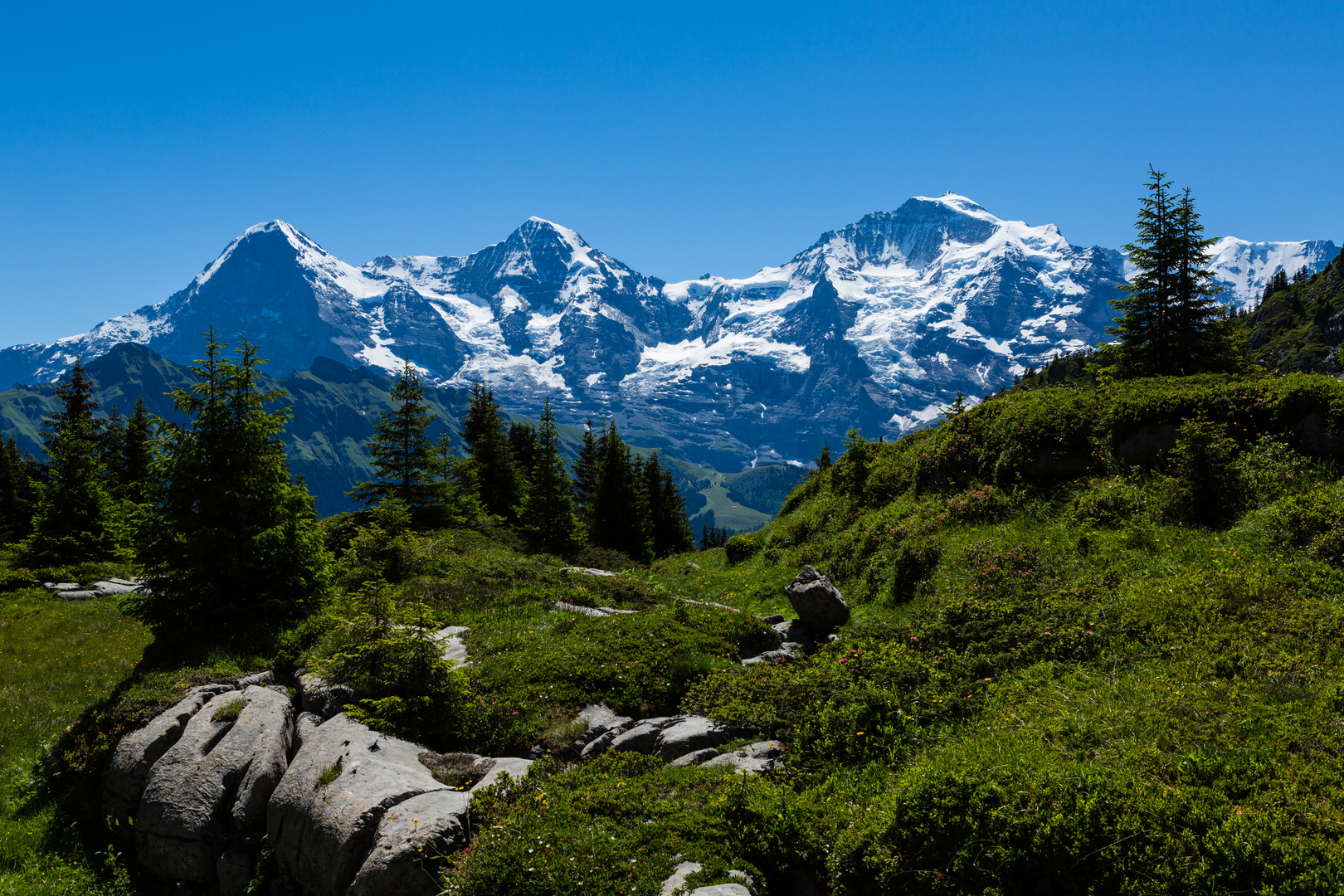 Das Berner Oberländer Dreigestirn