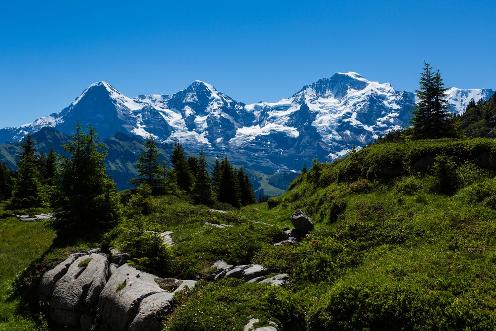 Das Berner Oberländer Dreigestirn