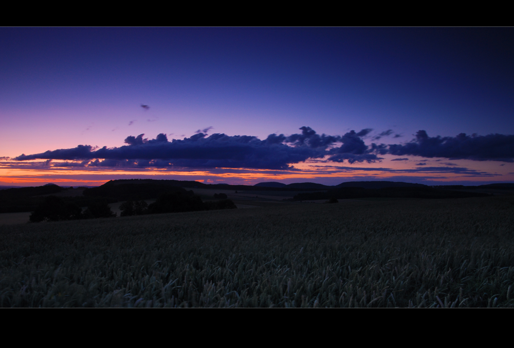 Das berühmte Bett im Kornfeld