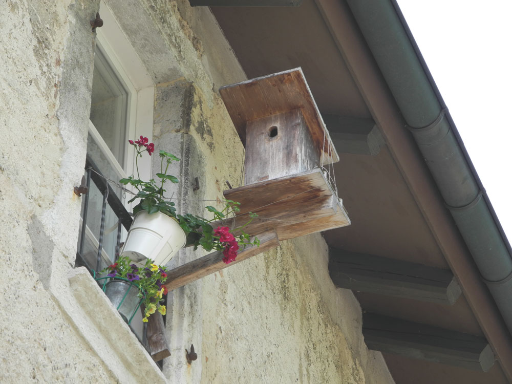 das besondere Vogelhäuschen